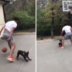 NBA – Trae Young poste une vidéo avec son chien, les fans se déchainent