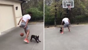 NBA – Trae Young poste une vidéo avec son chien, les fans se déchainent