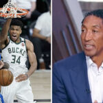 NBA – Comment stopper Giannis ? La réponse WTF de  Scottie Pippen