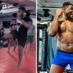 UFC – Une star apprend un nouveau coup dévastateur à Francis Ngannou !