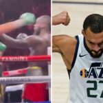 NBA – Rudy Gobert envoie un message à Tyson Fury après son gros KO