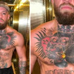 UFC – Conor McGregor révèle la signification de son terrifiant gorille sur le torse