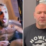 UFC – Lourdement accusé par Jake Paul, Dana White lui répond et l’affiche !