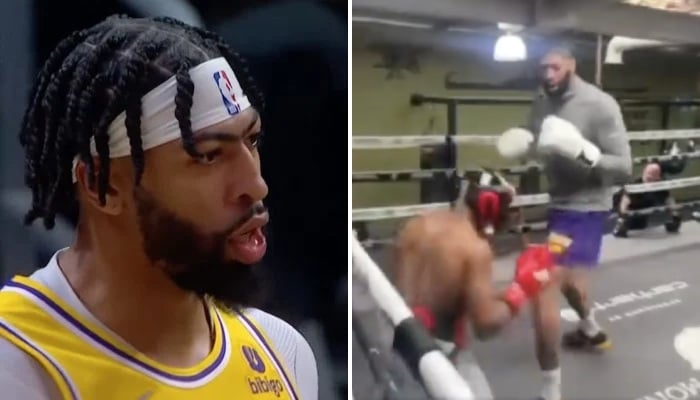 Anthony Davis a enfilé les gants de boxe pour la saison prochaine