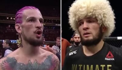 UFC – Le clan Khabib cash sur Sean O’Malley : « Ce n’est pas McGregor, il…