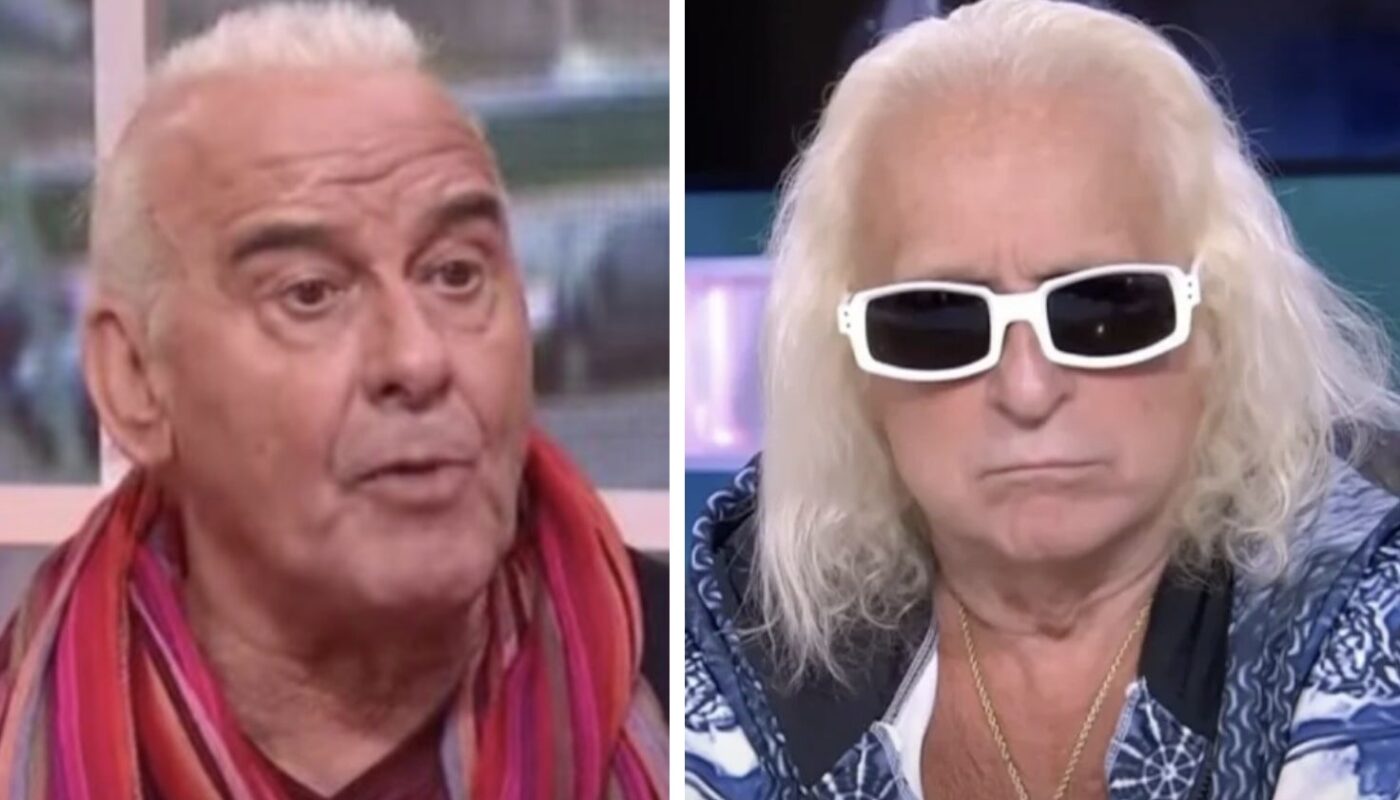 Michel Fugain et Michel Polnareff