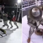 Le « MMA médiéval », le sport fou où les combattants s’affrontent en armure ! (vidéo)