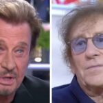 Sans langue de bois, l’avis d’Alain Souchon (80 ans) sur Johnny Hallyday : « Il était…